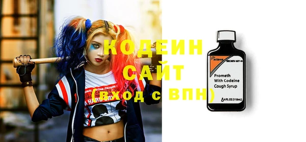 apvp Бородино