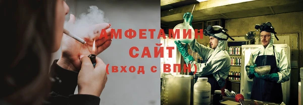 apvp Бородино