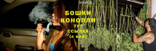 apvp Бородино