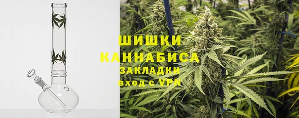 apvp Бородино
