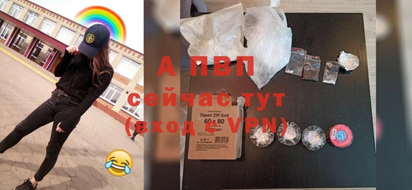 apvp Бородино